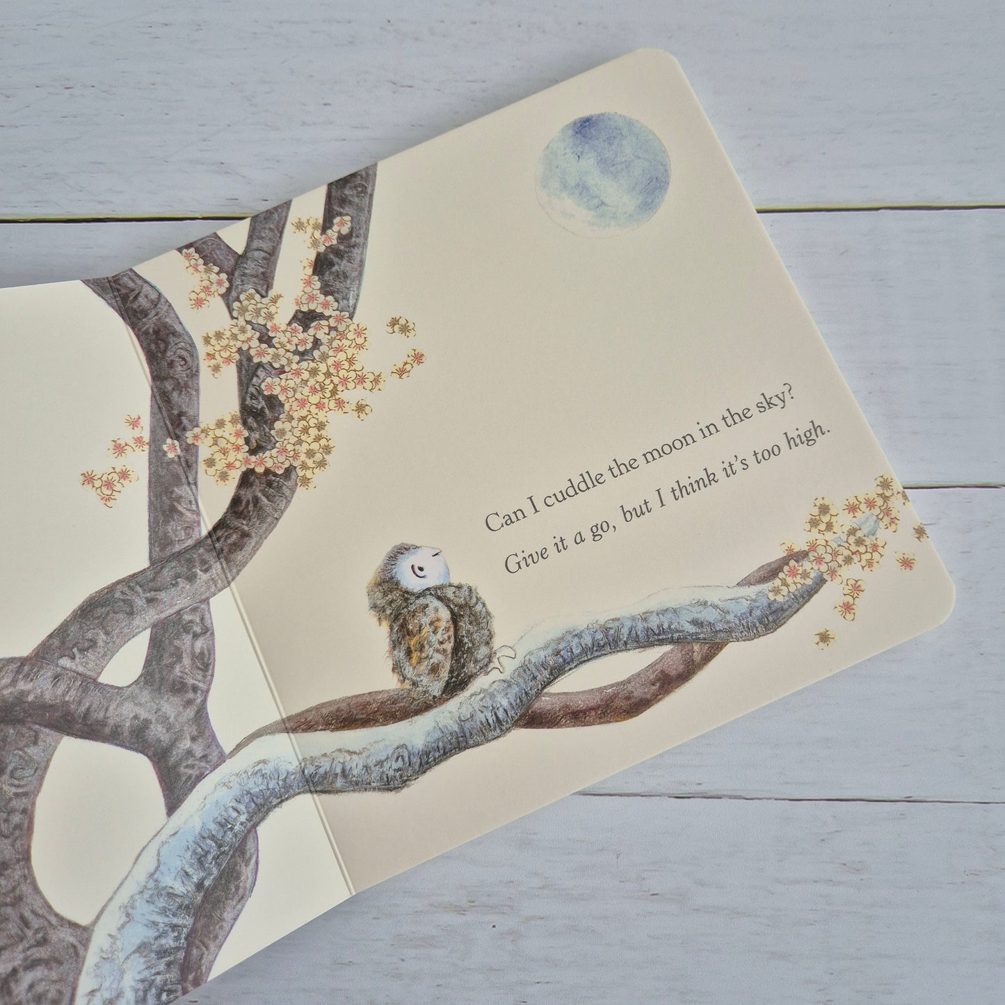 Add-on Baby book - Can I cuddle the moon?