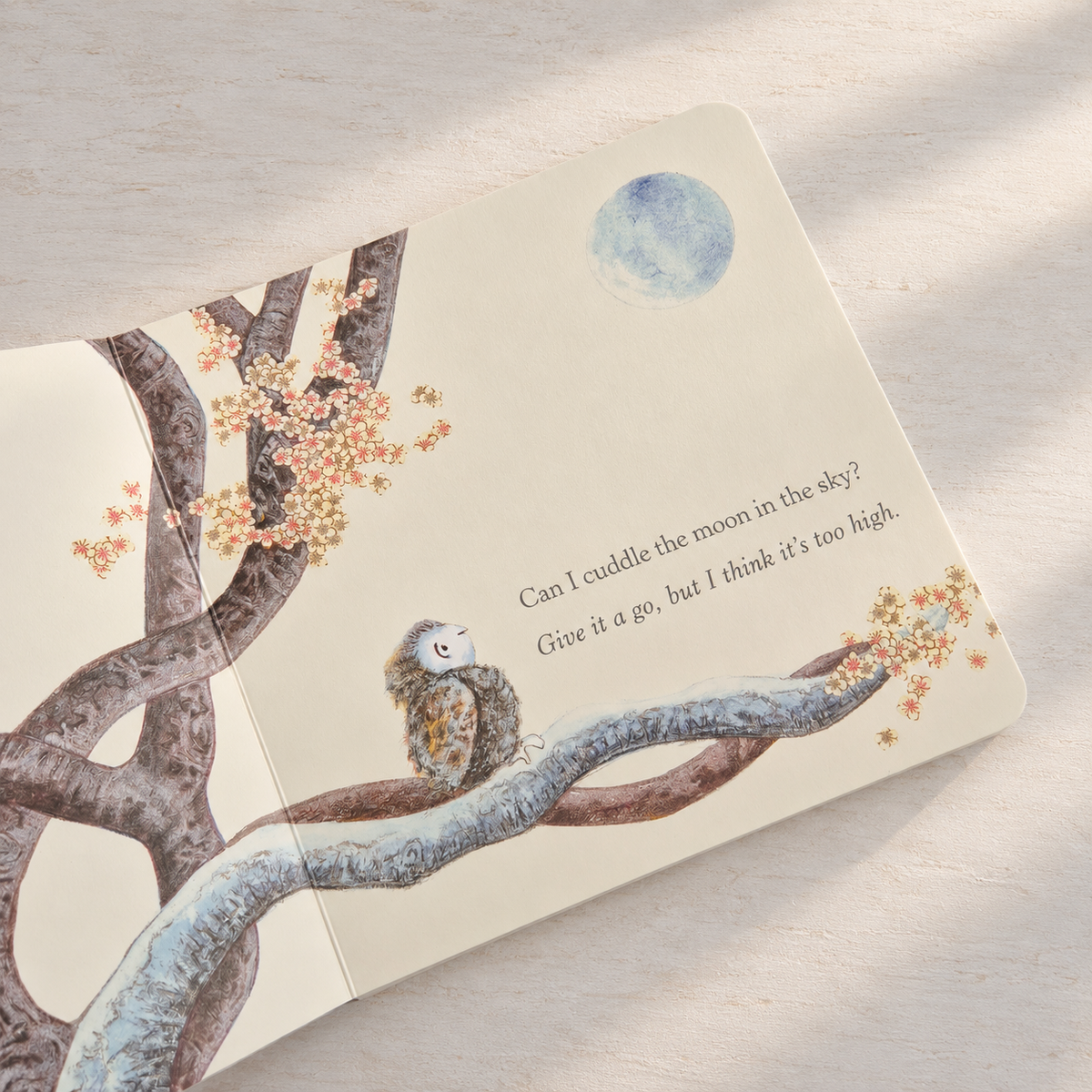Add-on Baby book - Can I cuddle the moon?